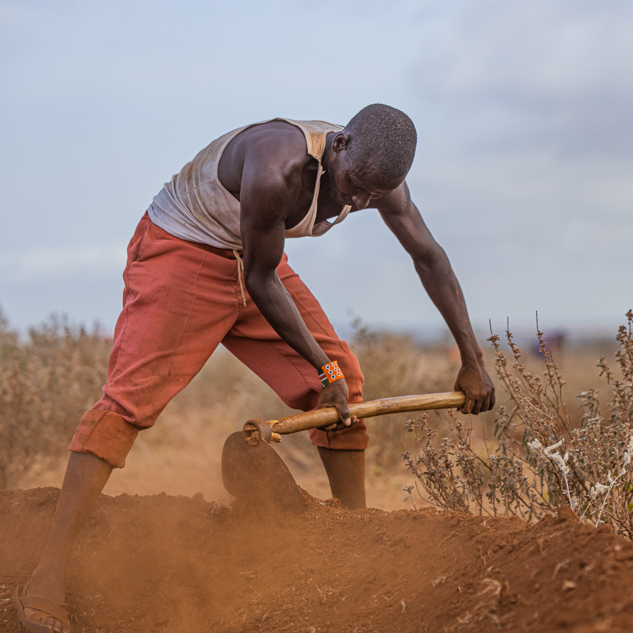 Let’s Dig – Jetzt deinen Bund bestellen