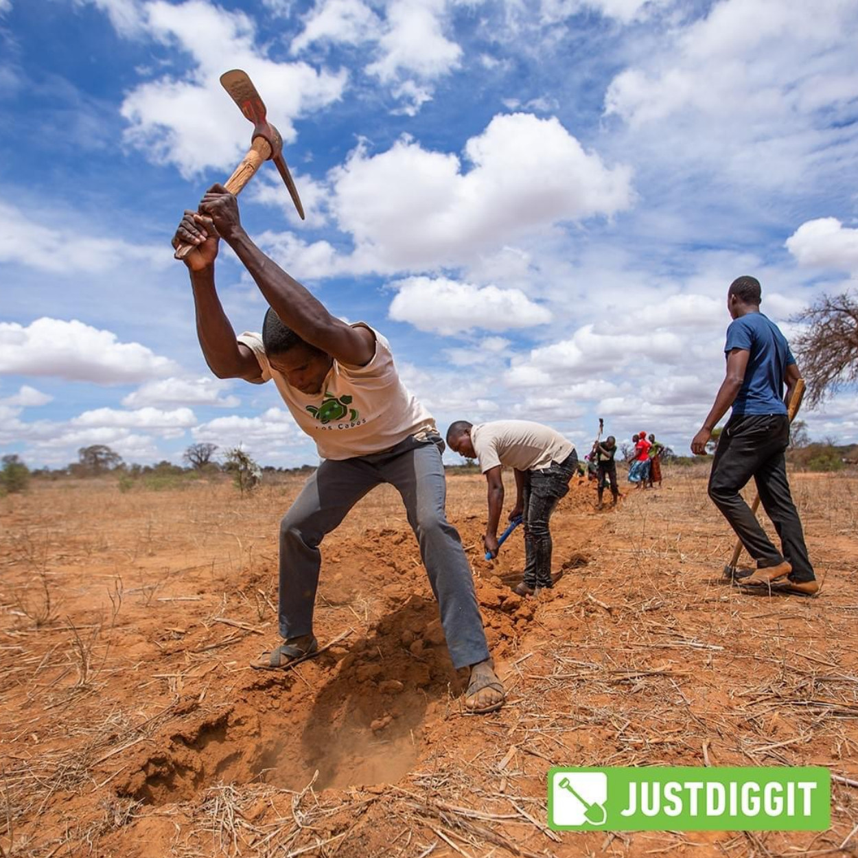 Let’s Dig – Jetzt deinen Bund bestellen